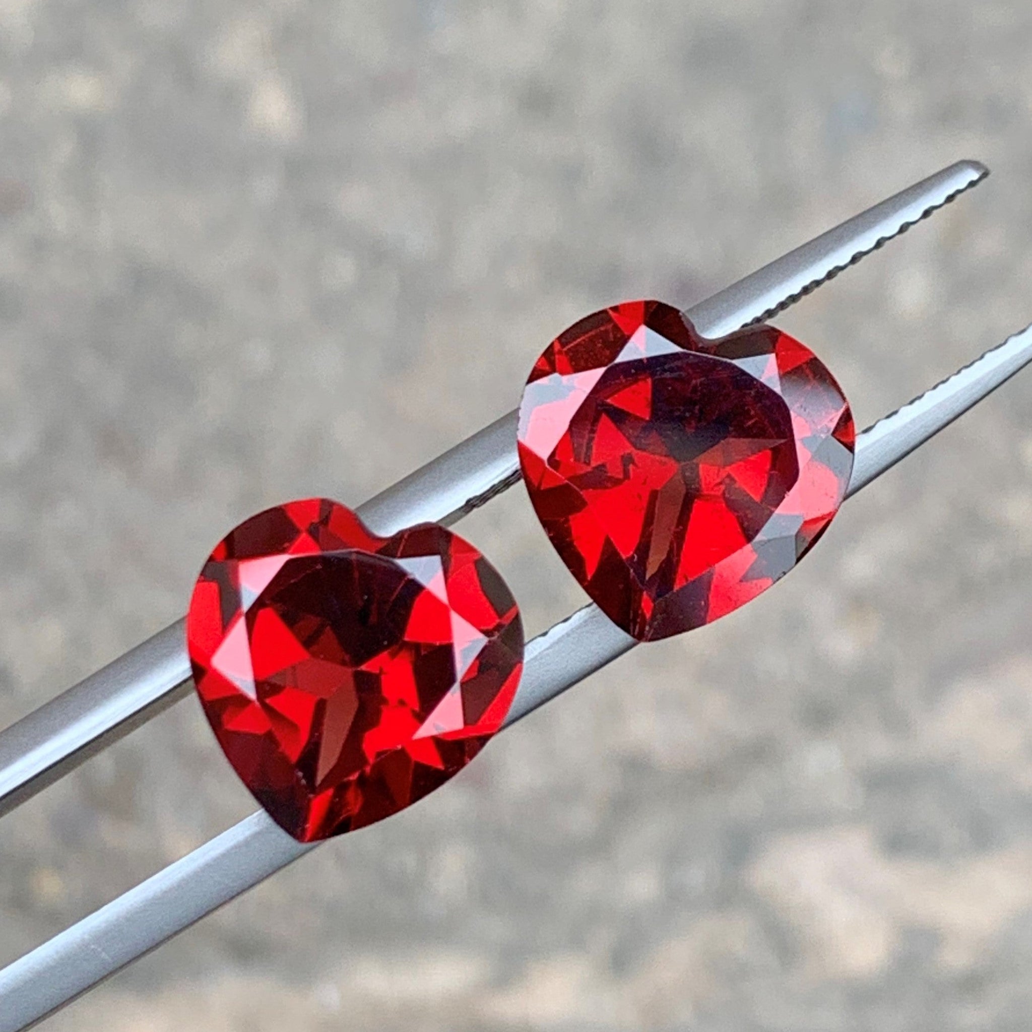 Rhodolite Garnet pair for earrings