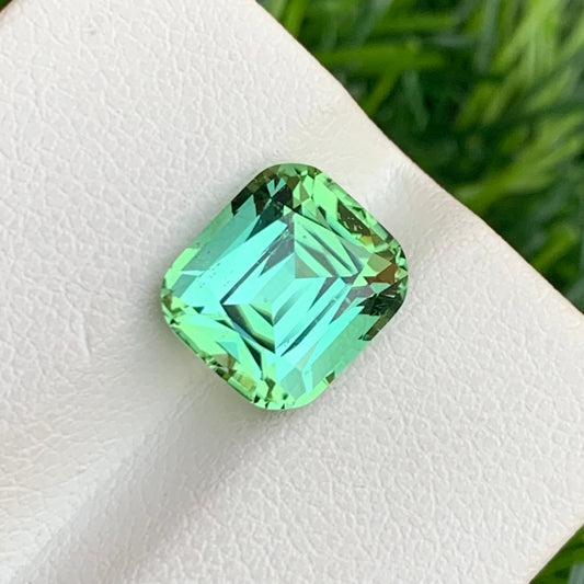 Mint Green Tourmaline from Afghanistan, Cushion Cut 4.00 Cts