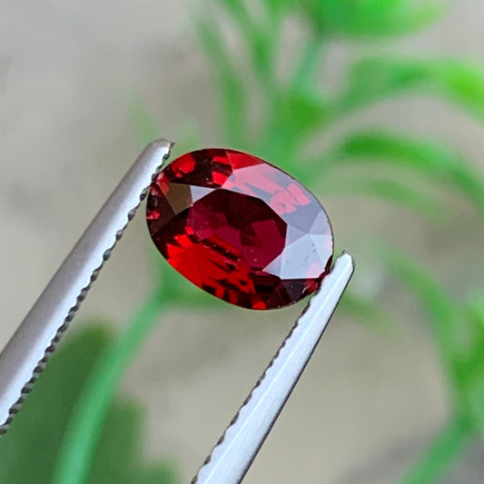 Red Spinel
0.85 Carat Red Spinel Oval Cut

Natural Red Spinel Gemstone Burma