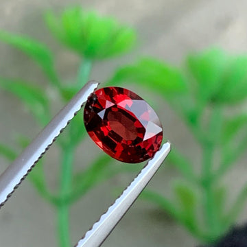 Red spinel
0.90 carat red spinel gemstone oval cut

natural burma red spinel loose stone