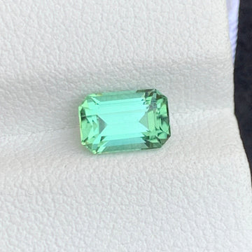 Apple Green Tourmaline
 Apple Green Tourmaline jewelry
1.20 carats apple green tourmaline emerald cut Afghanistan
natural mint green tourmaline loose gemstone eye clean