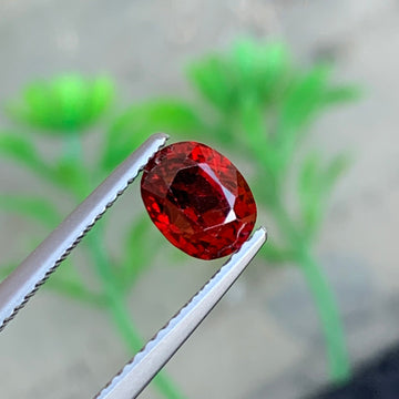 1.35 Carat Red Spinel Oval Cut

Natural Red Spinel from Burma