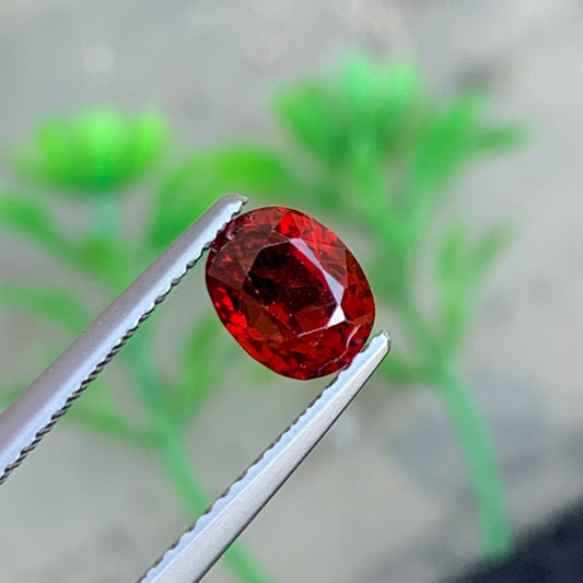 1.35 Carat Red Spinel Oval Cut

Natural Red Spinel from Burma