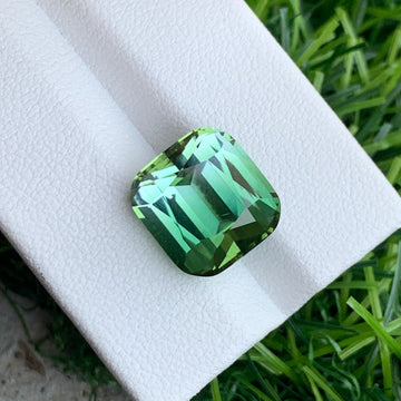 Bicolor Green Tourmaline
10 carat bicolor green tourmaline cushion cut gemstone