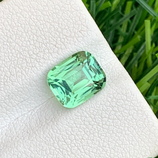 Apple Green Tourmaline
2.35 carat apple green tourmaline cushion cut gemstone

natural apple green tourmaline afghanistan