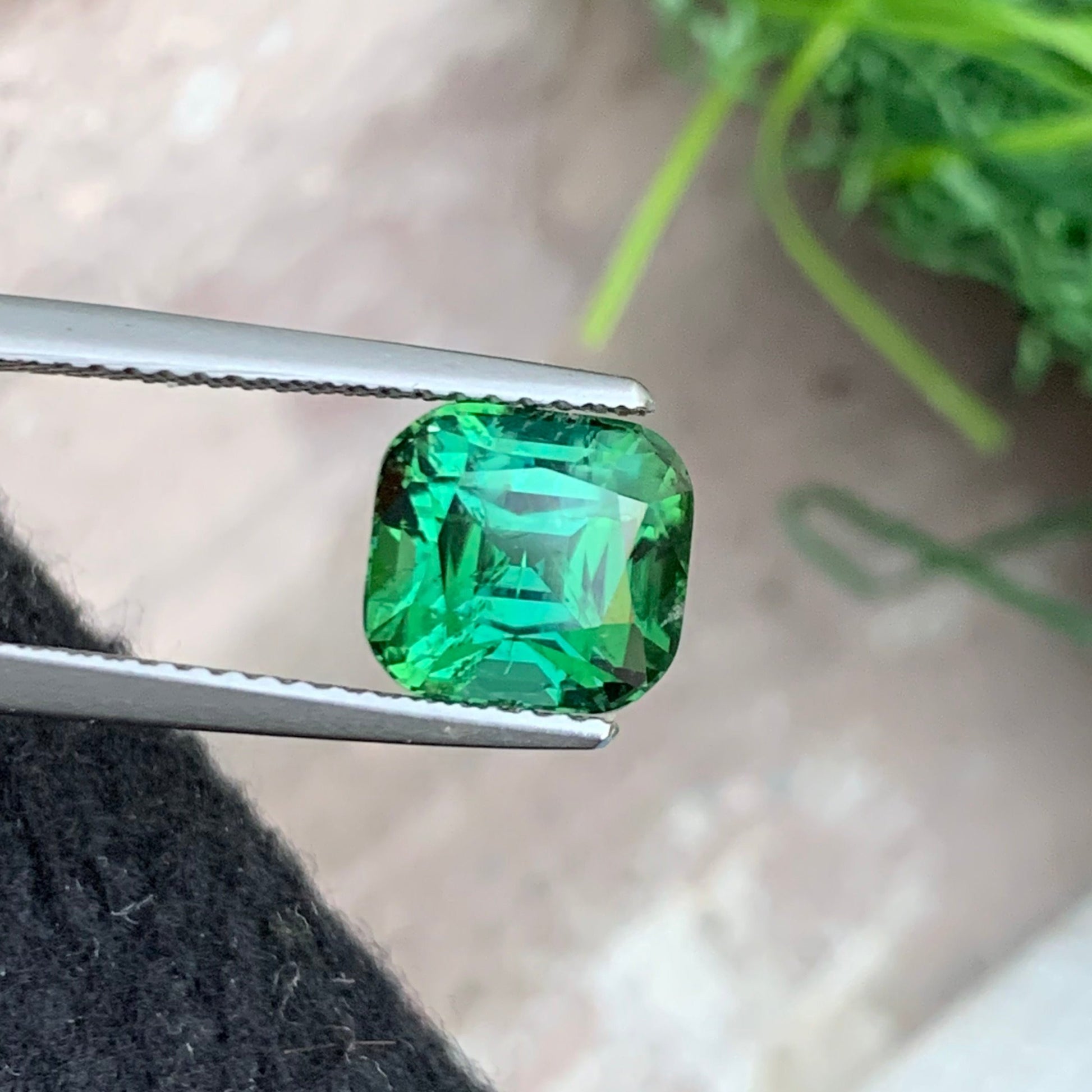 Bluish Green Tourmaline
2.75ct Cushion Cut Tourmaline Loose Stone Display