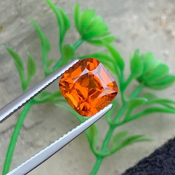 Orange Hessonite Garnet
4.10 carat natural orange hessonite garnet cushion cut