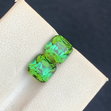 4.30 Carats Forest Green Tourmaline Earrings Pair