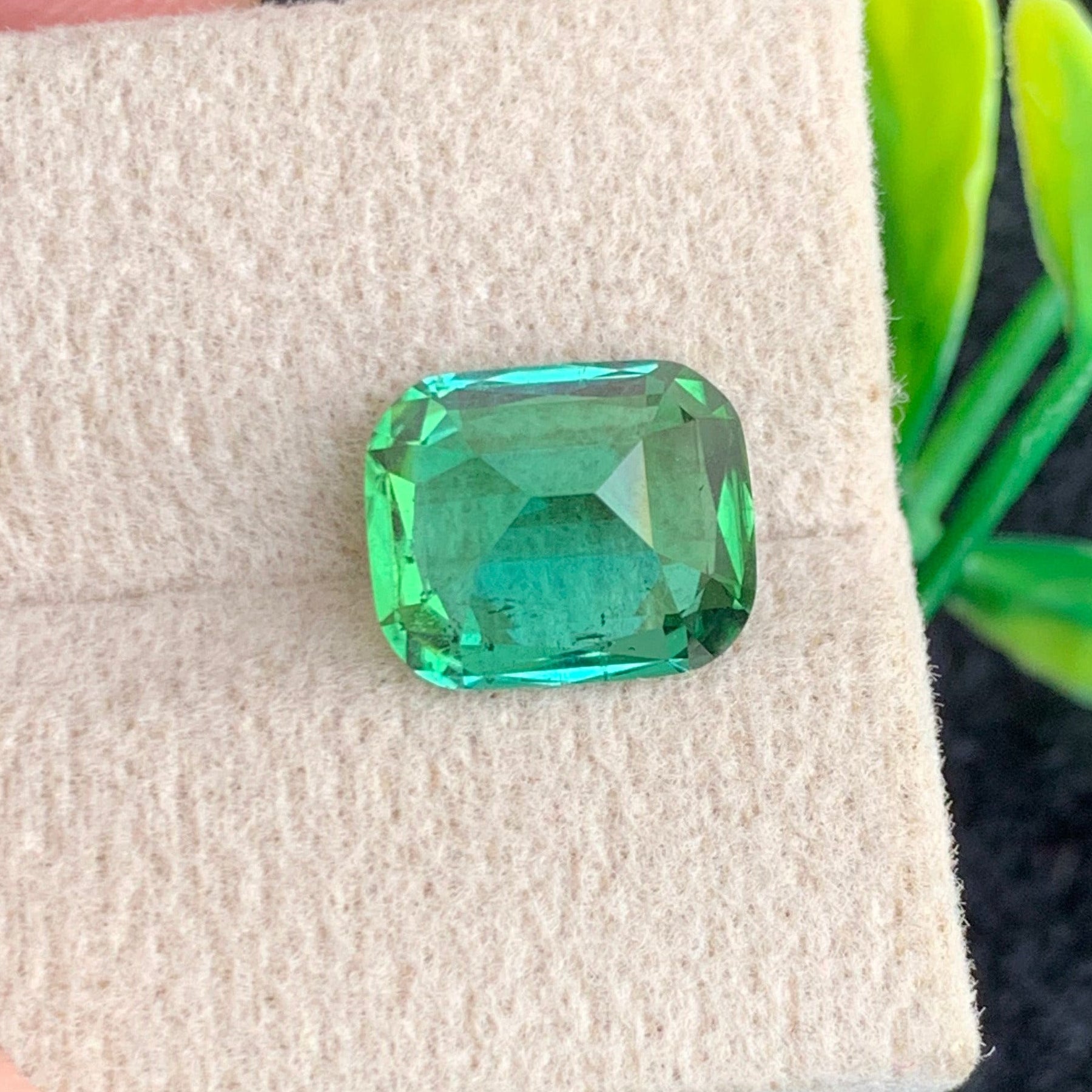 4.30 carat tourmaline afghanistan
natural tourmaline loose gemstone
green blue tourmaline cushion cut