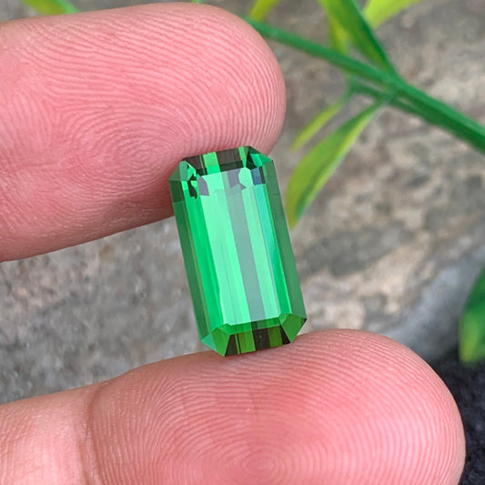 Vivid Green Tourmaline Gemstone
6.26 carats vivid green tourmaline emerald cut Afghan gemstone
Natural Afghan green tourmaline 6.26 ct loupe clean loose stone