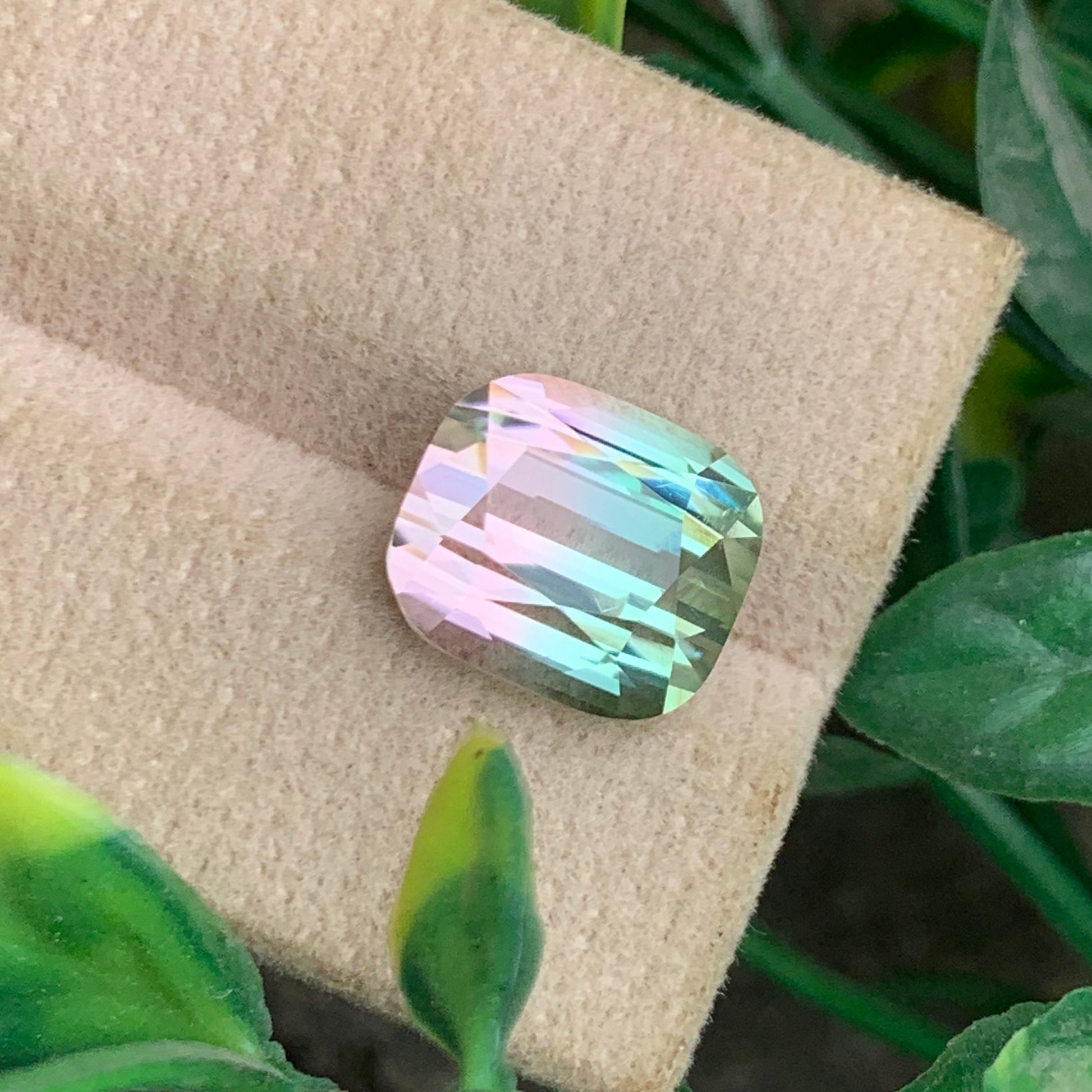  Bicolor Tourmaline 
 Bicolor Tourmaline jewelry