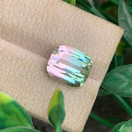  Bicolor Tourmaline 
 Bicolor Tourmaline jewelry