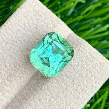 mint green Stone
7.85 Carat Mint Green Tourmaline Cushion Cut

Natural Apple Green Tourmaline Gemstone