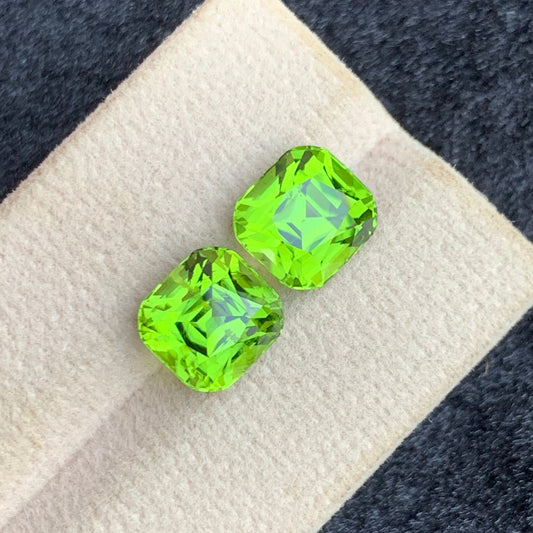 green peridot pair
green earring pair
8.40 Carats Natural Green Peridot Pair Cushion Cut Pakistan
Natural Green Peridot Pair for Luxury Earrings