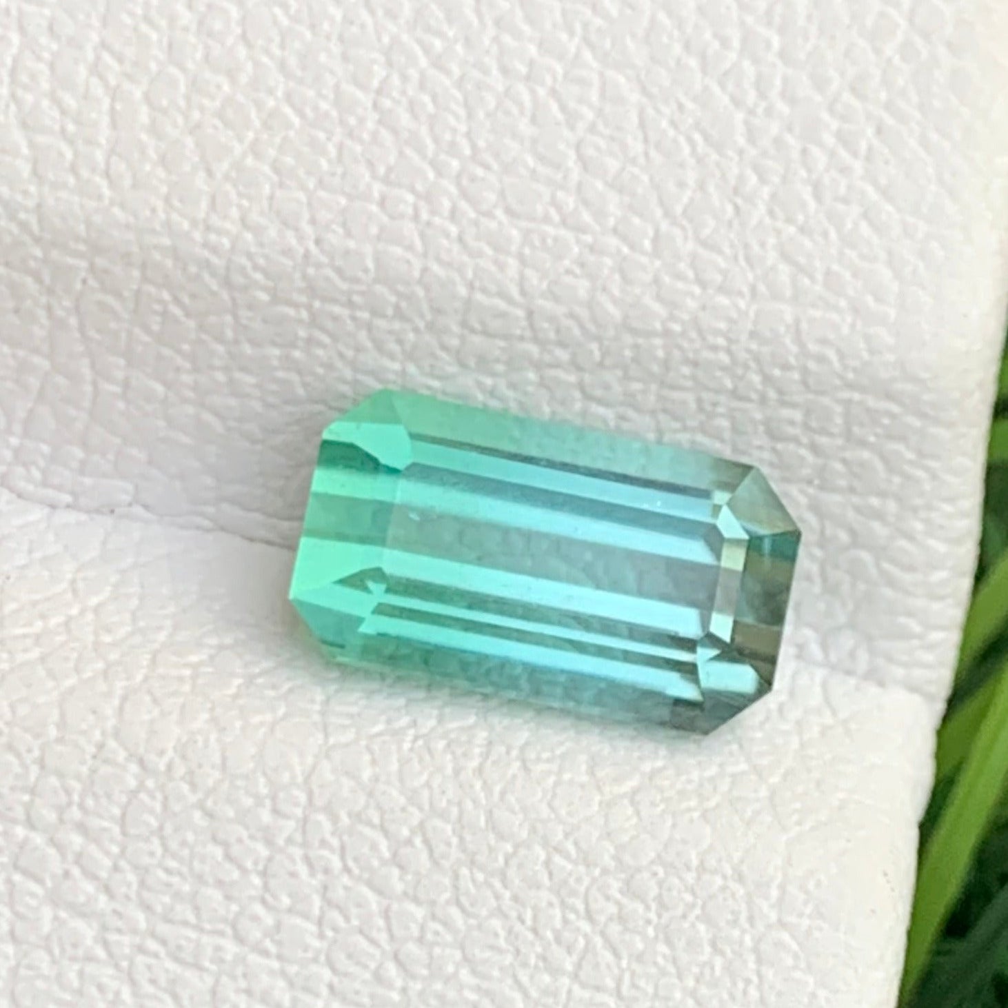 Rare bicolor tourmaline
Elegant step cut tourmaline