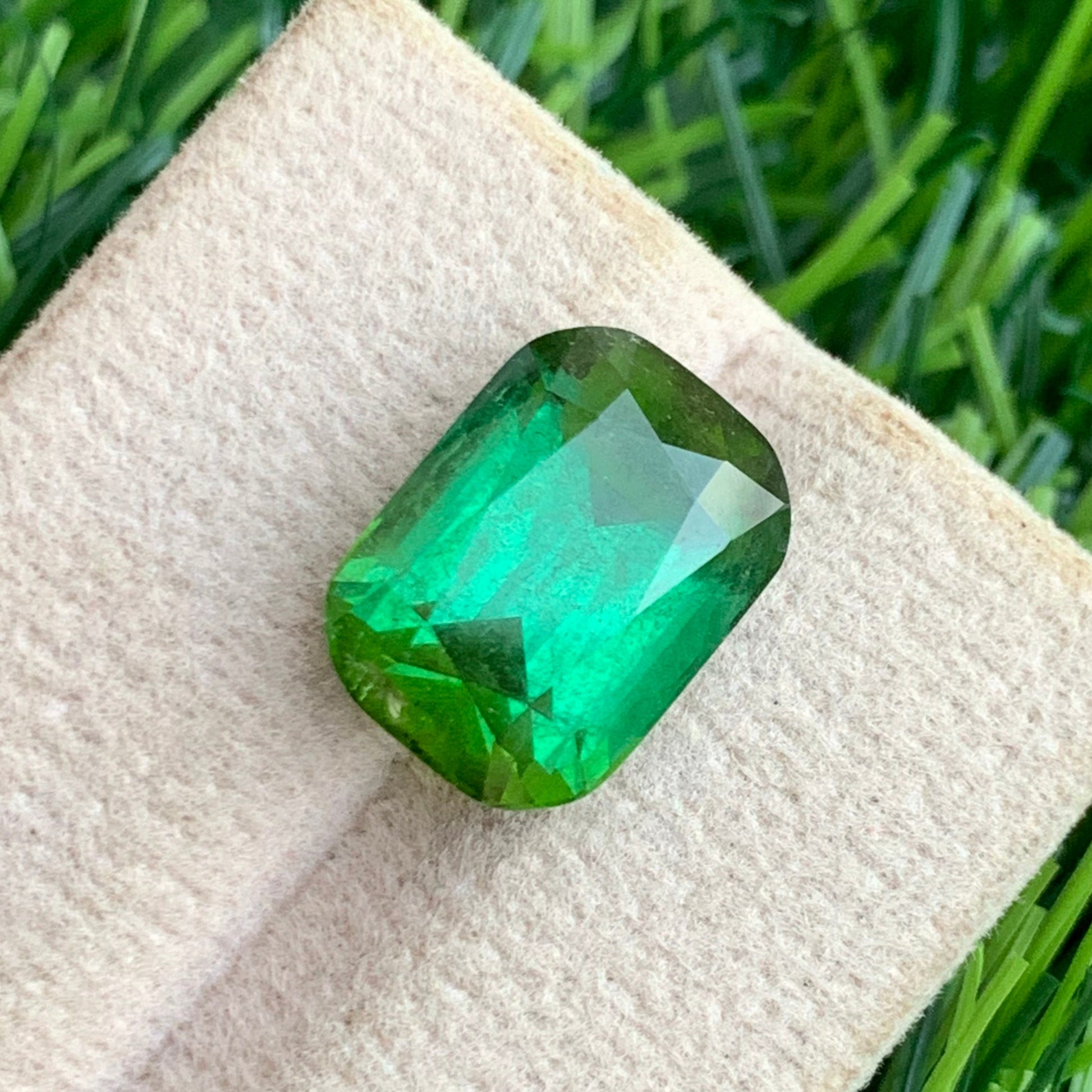 Afghan origin cushion cut tourmaline close-up sparkle
rare yellow mint green tourmaline gemstone display