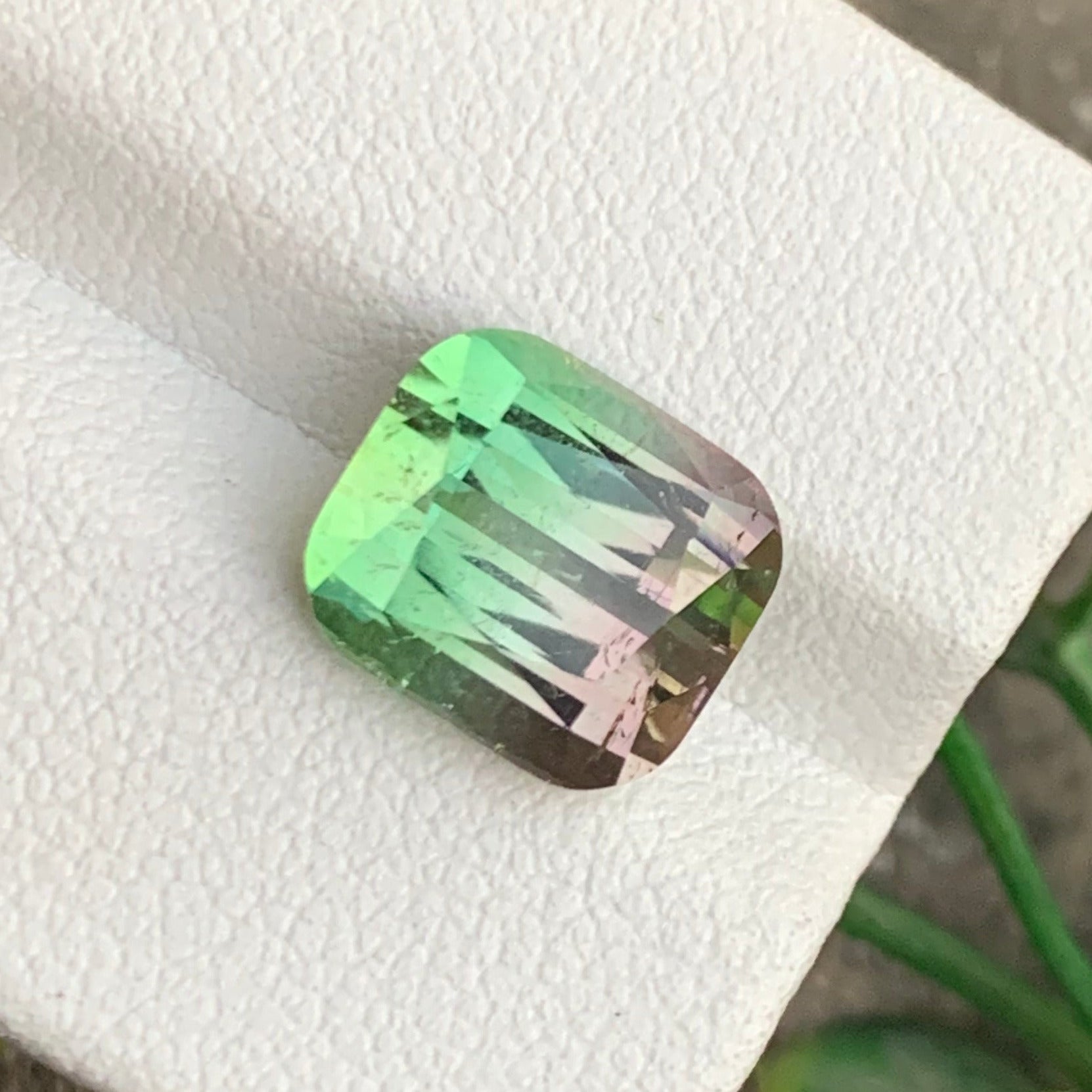 Bicolor tourmaline cushion cut loose gemstone
Collector quality Afghan watermelon tourmaline stone