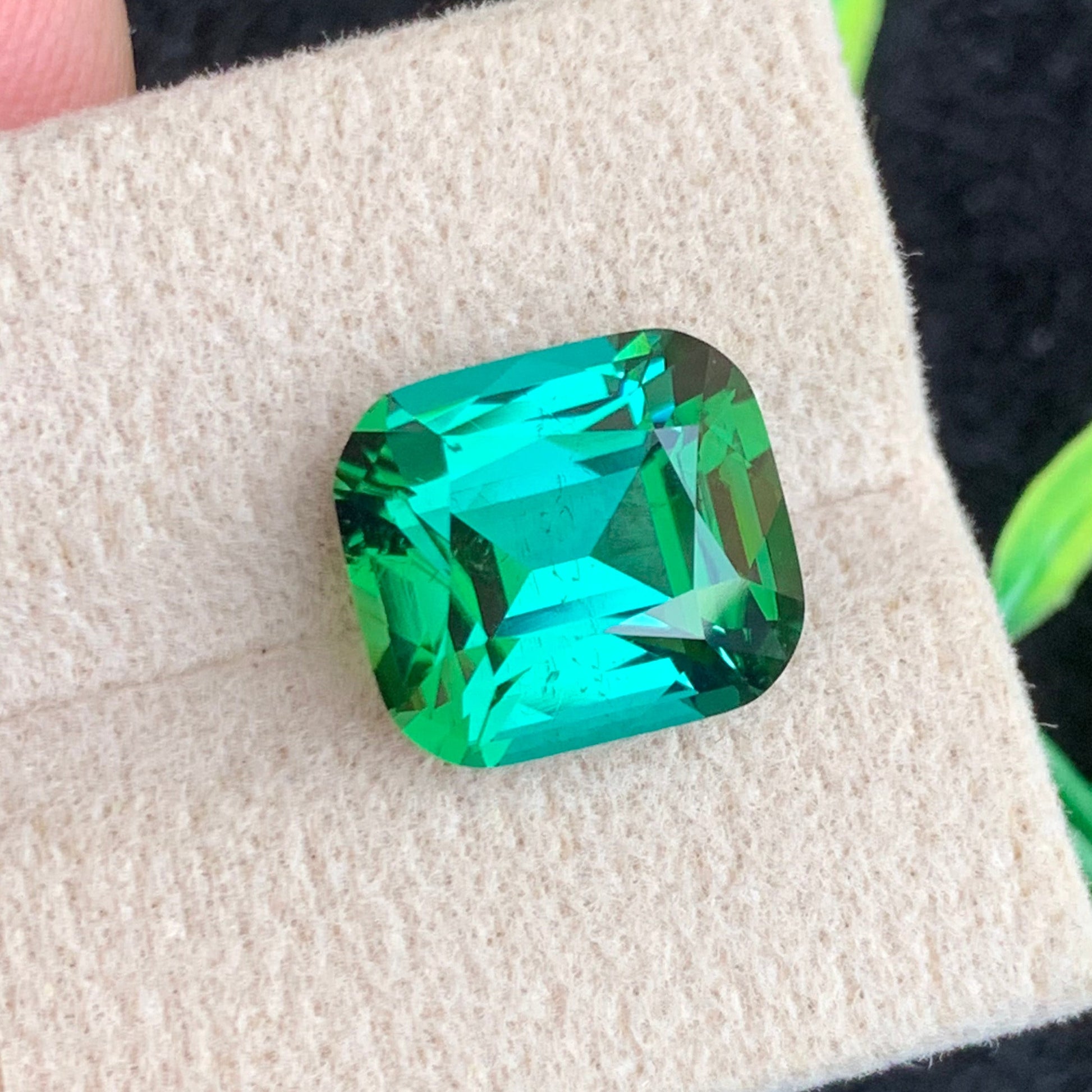 Bluish Green Tourmaline 7.22 Carats Cushion Cut
Natural Afghan Bluish Green Tourmaline