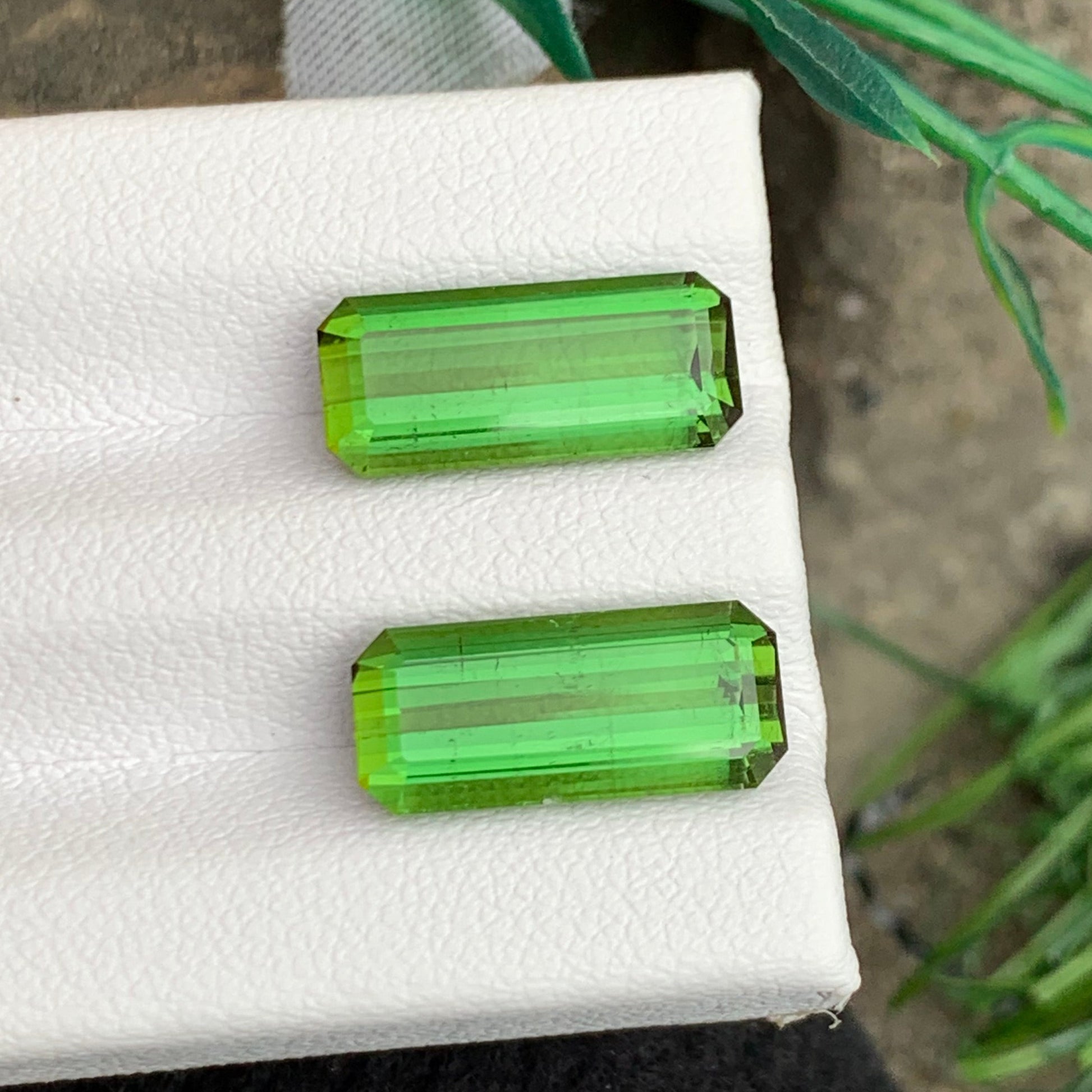 Loose green tourmaline Pair
Close-up of Yellow Green Tourmaline Pair Emerald Cut