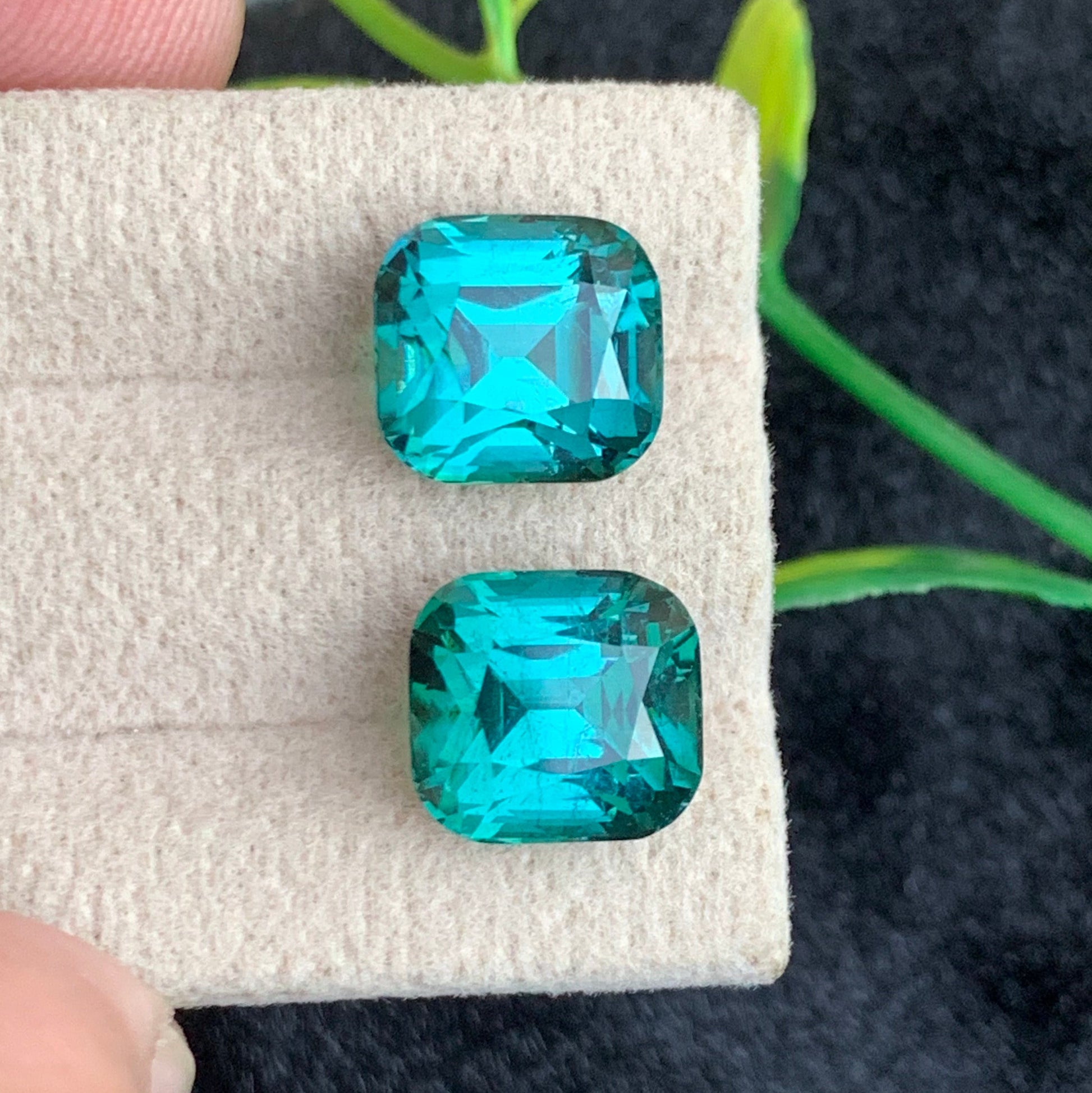 Close up lagoon tourmaline pair showing blue green ocean colors
Cushion cut lagoon tourmaline gemstones matched pair Afghanistan origin
