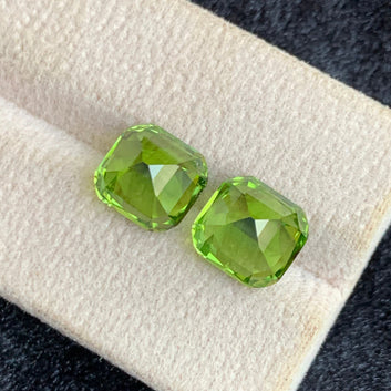 peridot pair
Cushion Cut Green Peridot Matching Gemstone Pair
VVS Green Peridot Pair Natural Pakistani Gemstones