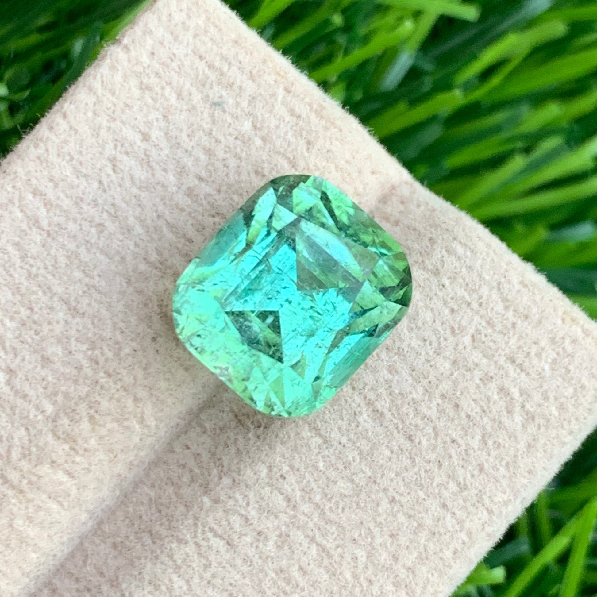 Apple green tourmaline
Cushion Cut Mint Green Tourmaline Jewelry

Rare Afghanistan Tourmaline Stone