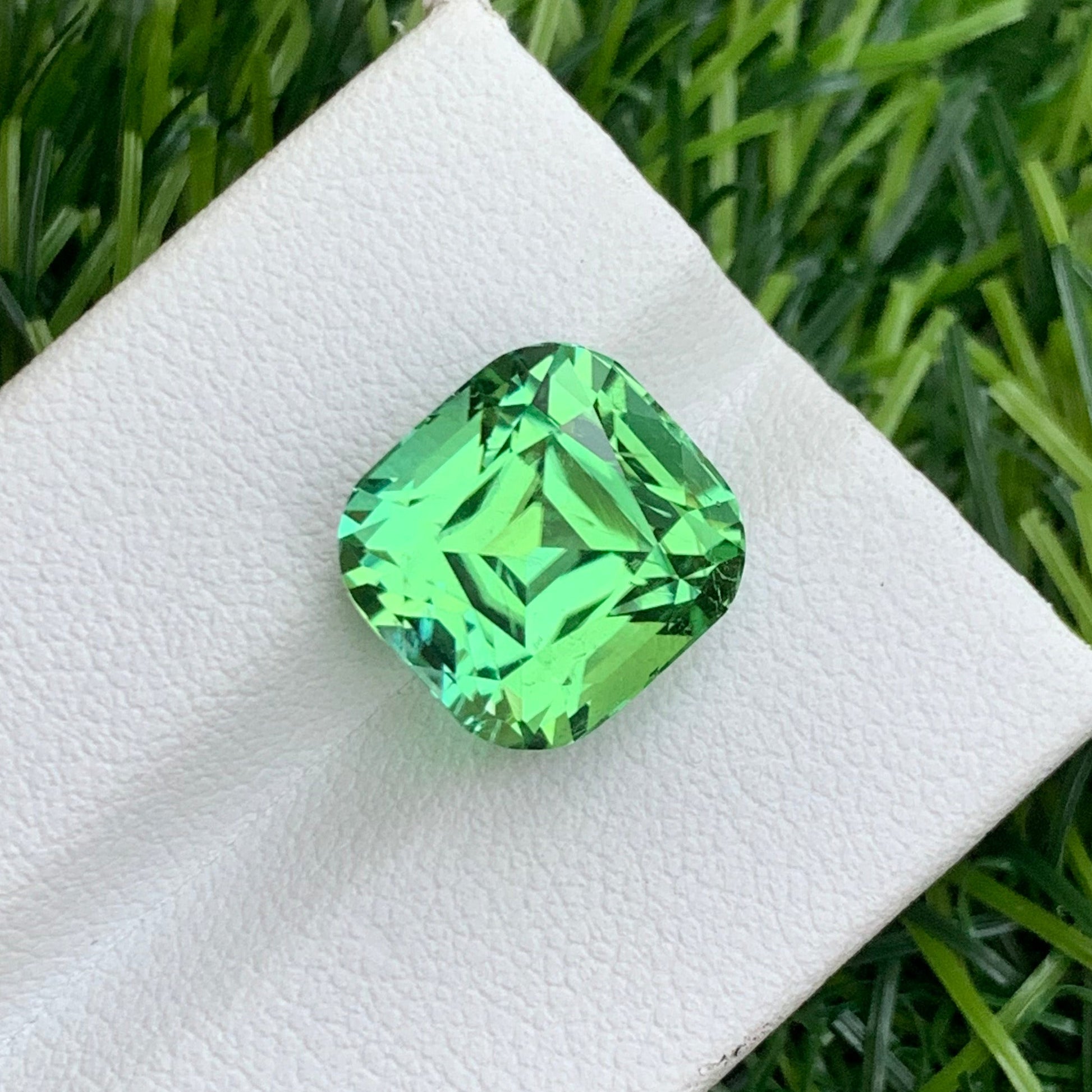 Loose green tourmaline
Cushion cut apple green tourmaline close-up
VVS apple green tourmaline gemstone Afghanistan