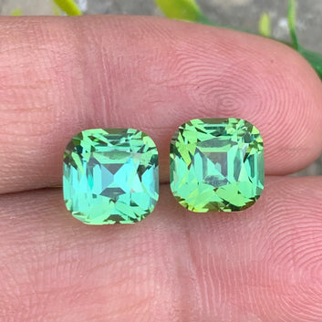Apple Green Tourmaline ring
Apple Green Tourmaline pendant
Cushion cut apple green tourmaline loose gemstones
Loup clean Afghan tourmaline pair close-up