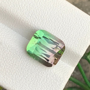 Bicolor Tourmaline 
Bicolor Tourmaline jewelry
Cushion cut bicolor watermelon tourmaline close-up
VVS clarity watermelon tourmaline loose gemstone