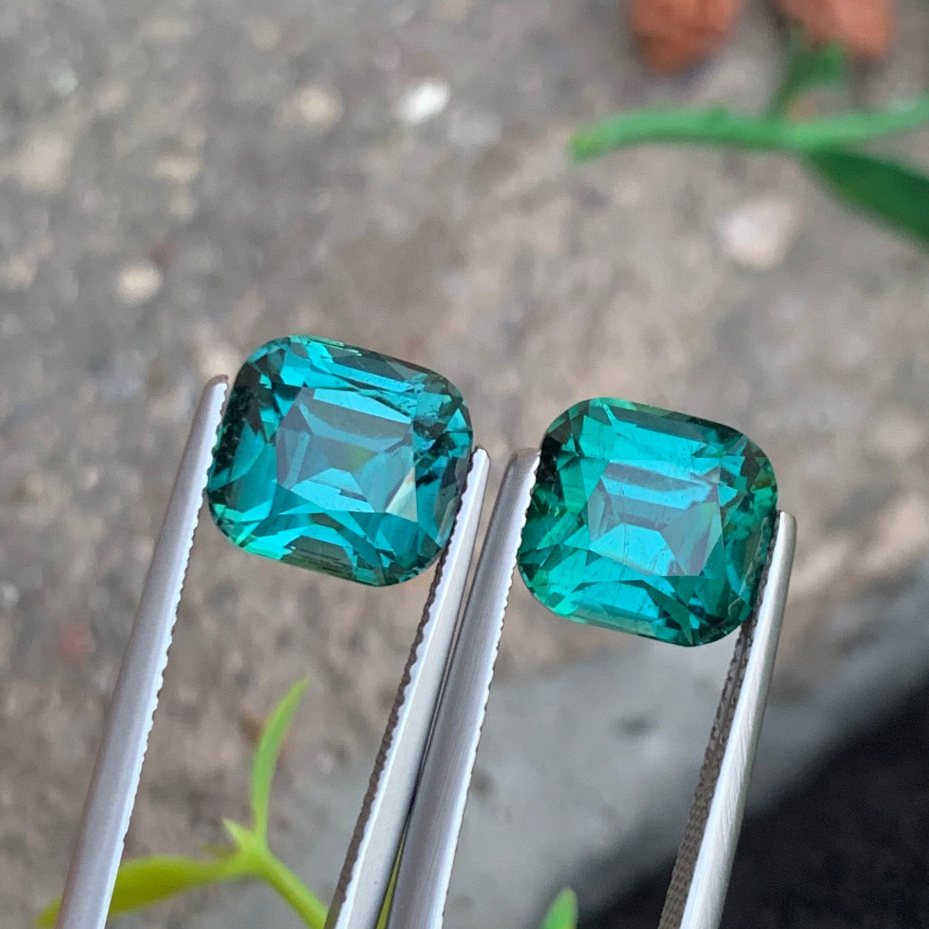 Cushion cut lagoon tourmaline gemstones matched pair Afghanistan origin
Natural untreated lagoon tourmaline pair for fine jewelry earrings