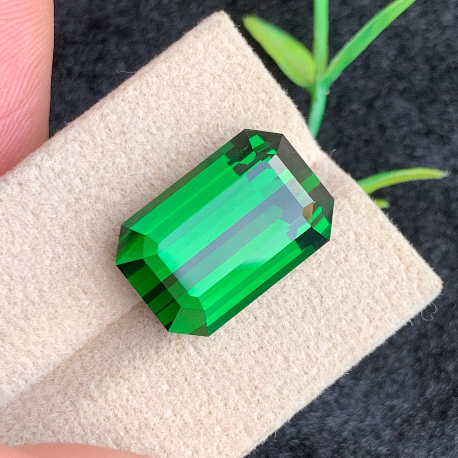 Deep Green Emerald Cut Tourmaline
VVS Forest Green Tourmaline Gem
Luxury Green Tourmaline Stone