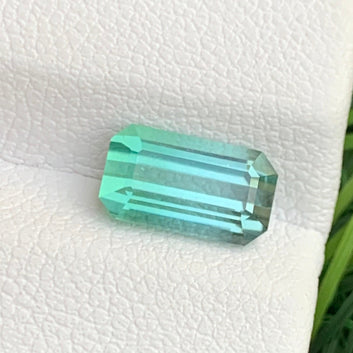 Bicolor Tourmaline ring
Bicolor Tourmaline gift