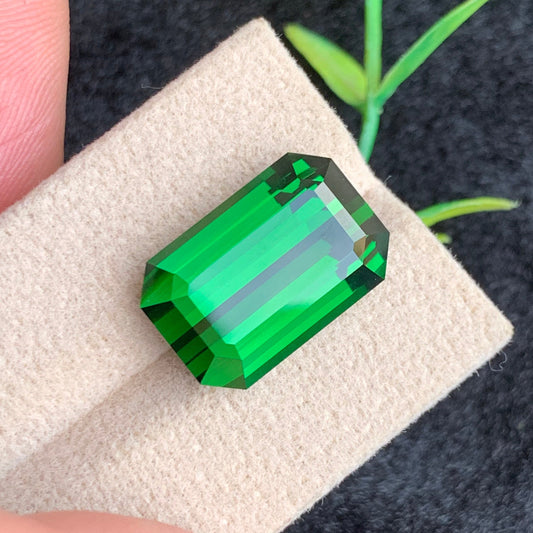  Forest Green Tourmaline Gemstone
 Forest Green stone jewelry
Forest Green Tourmaline 17.45 Carats
Emerald Cut Green Tourmaline Gemstone