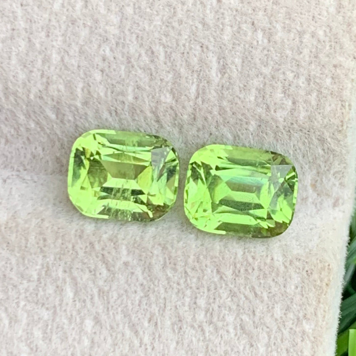  Greenish Yellow Peridot earrings
Peridot pair on white background showing symmetry
Cushion cut dimensions comparison