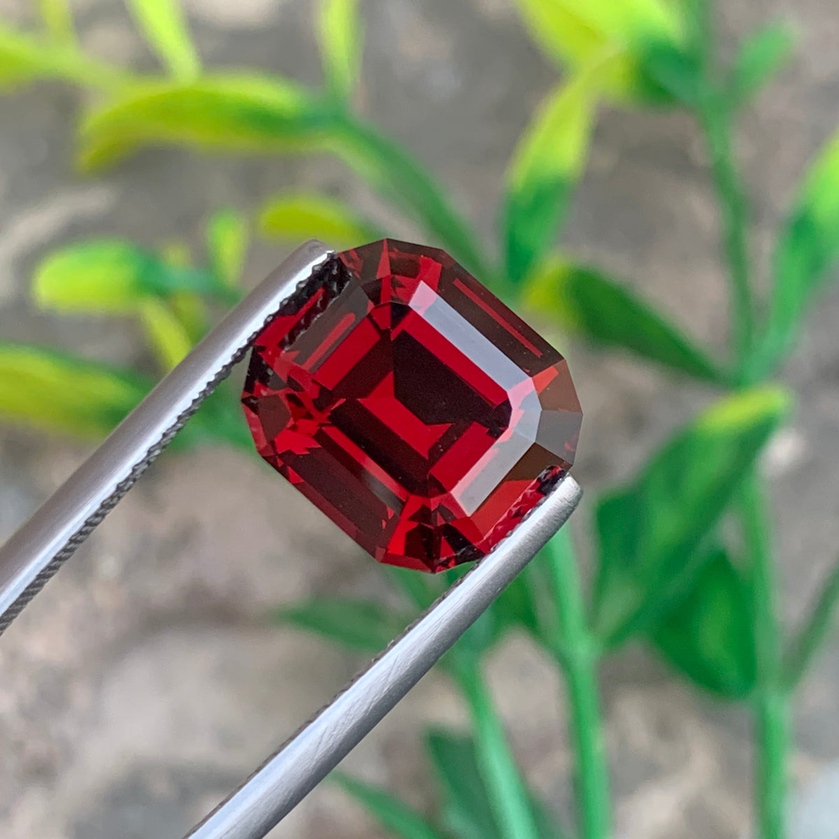 Rhodolite Garnet ring
Rhodolite Garnet pendant