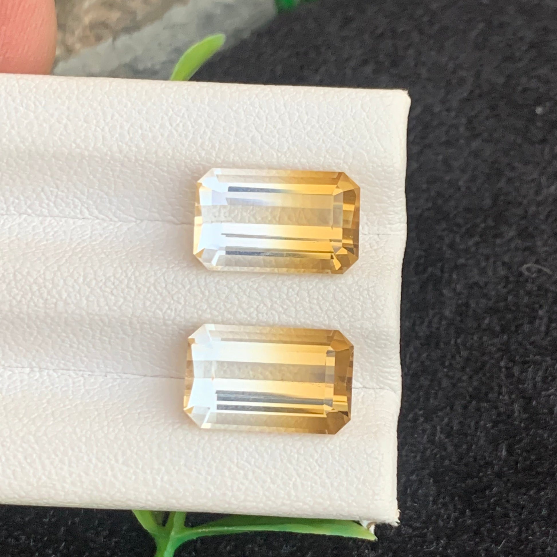 Bicolor Citrine earrings
Bicolor Citrine jewelry
Bicolor Citrine matching pair