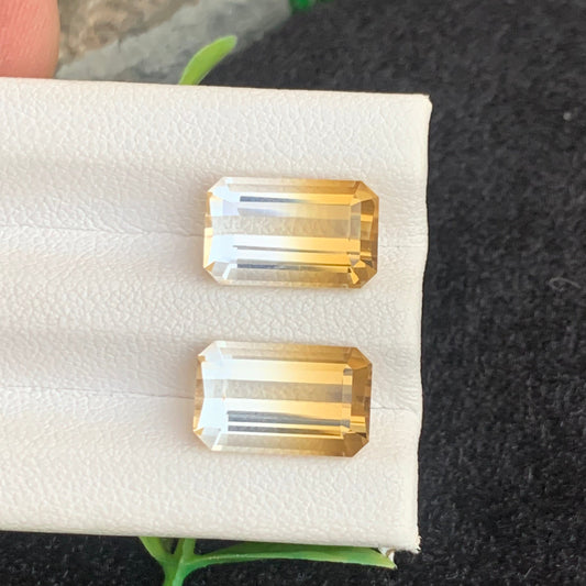 Bicolor Citrine earrings
Bicolor Citrine jewelry
Bicolor Citrine matching pair