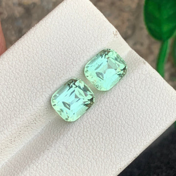 Mint Green Tourmaline Pair
Mint Green Tourmaline earrings