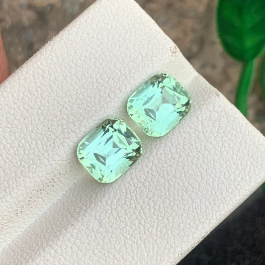 Mint Green Tourmaline Pair
Mint Green Tourmaline earrings