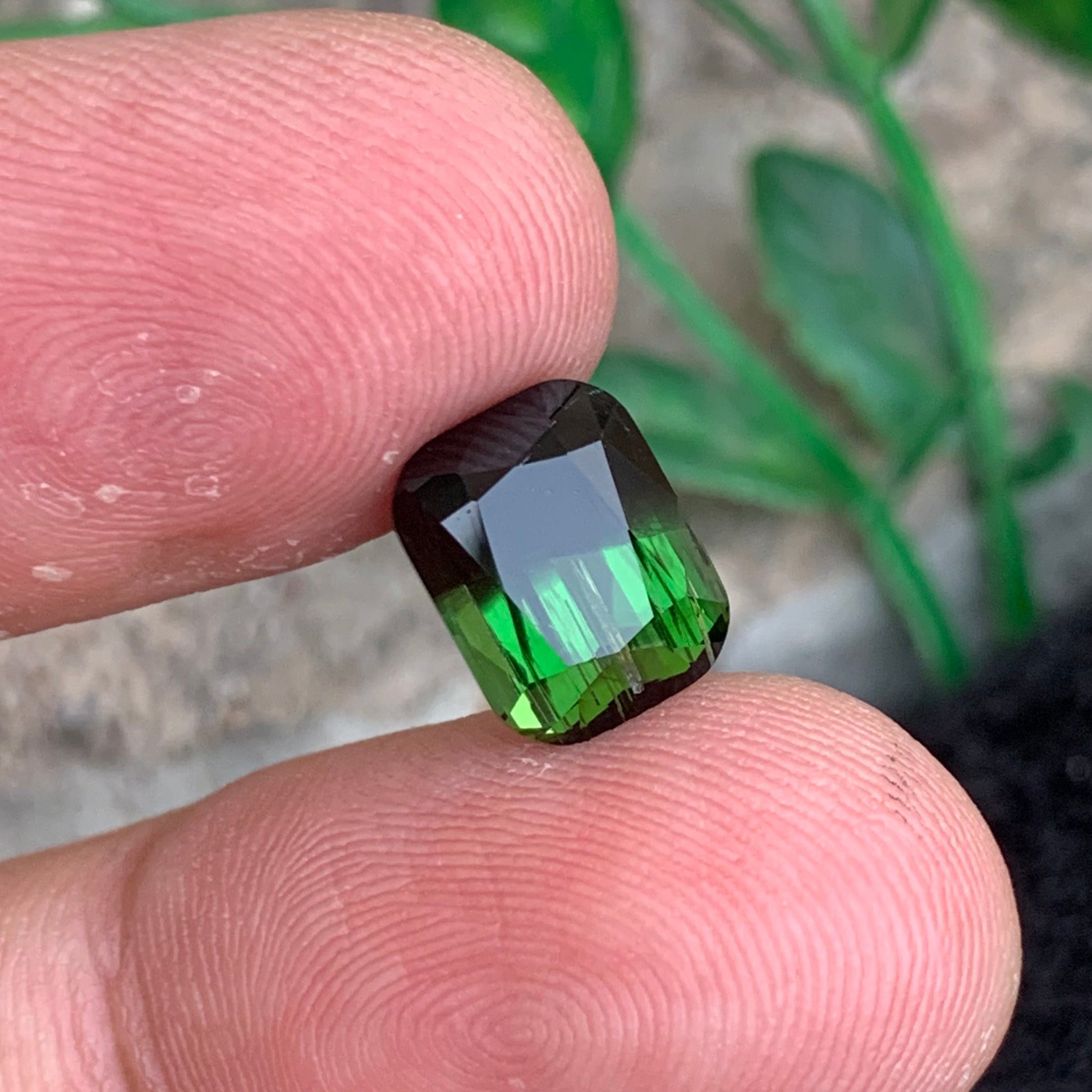Bicolor Tourmaline gemstone
Bicolor Tourmaline jewelry