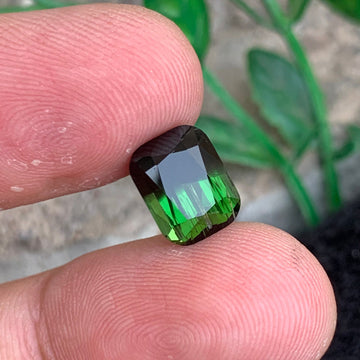 Bicolor Tourmaline gemstone
Bicolor Tourmaline jewelry