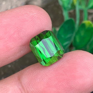 Deep Green Tourmaline
Deep Green Tourmaline jewelry