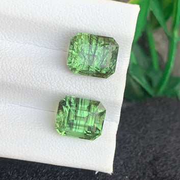 Rutile Green Peridot earrings
Rutile Green Peridot pair