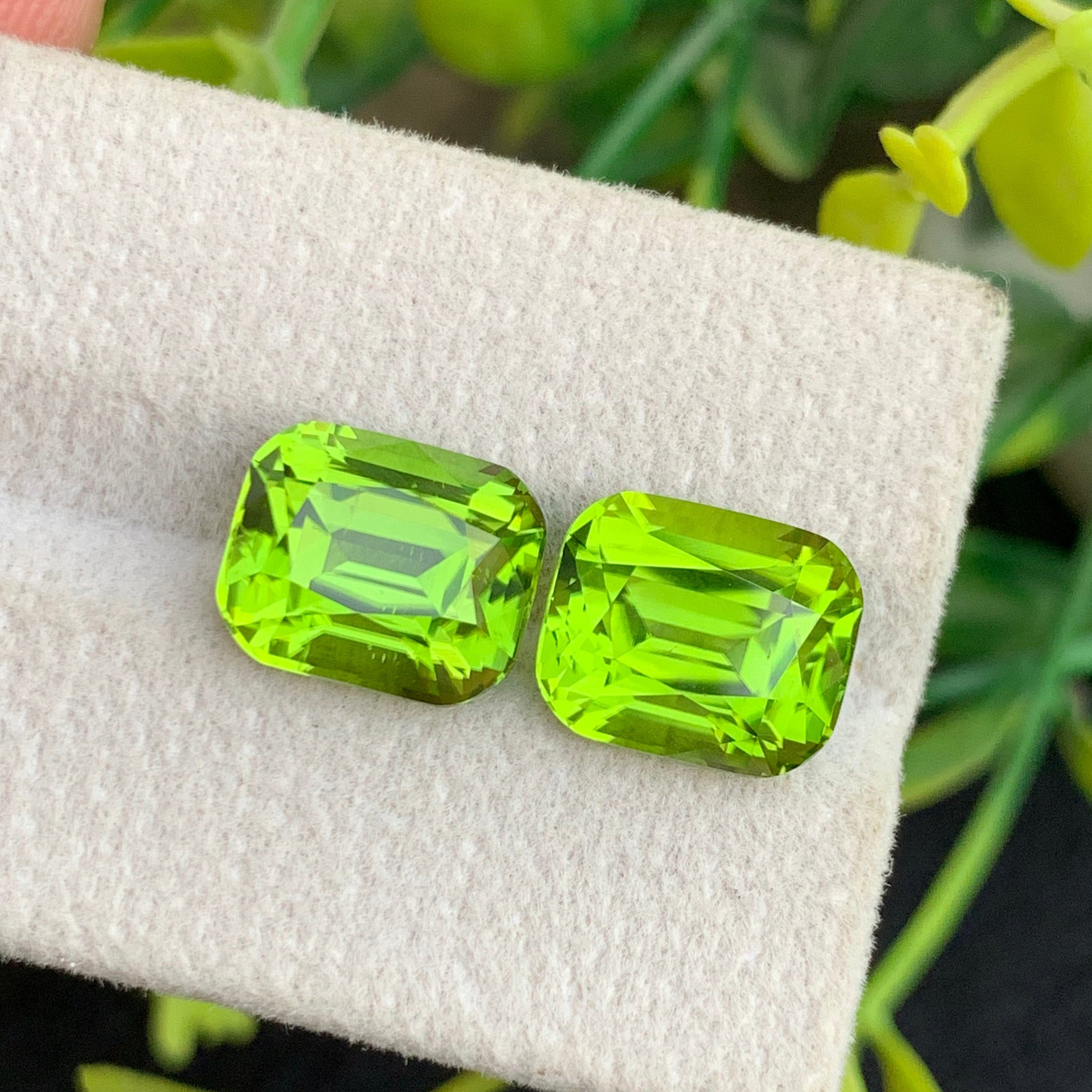 11.50 Carats Natural Green Peridot Gemstone Pair with Cushion Cut, Green Peridot for Earrings