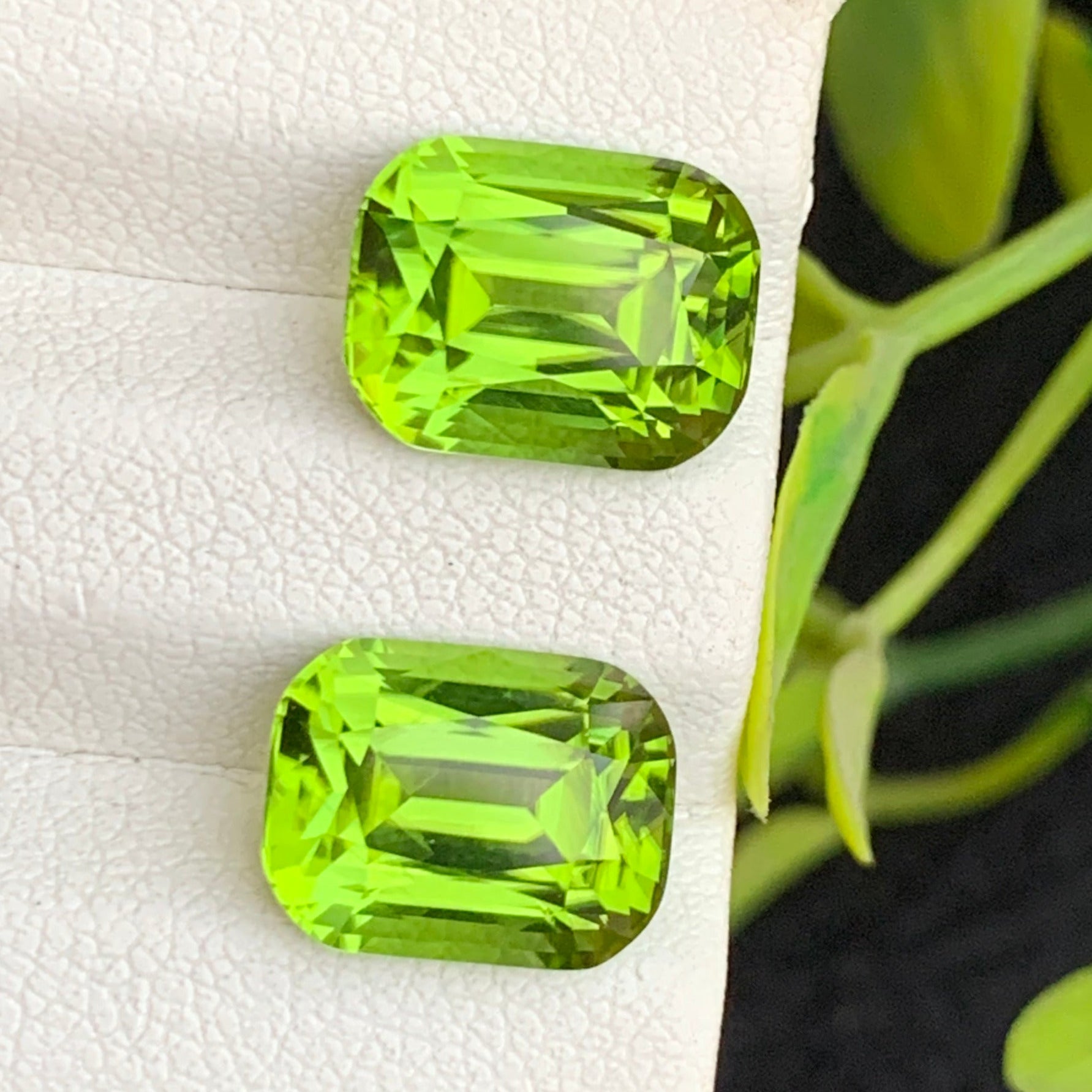 9.95 Carats Glamorous Green Peridot Gemstone Pair with Cushion Cut, Green Peridot for Earrings