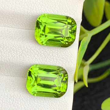 9.95 Carats Glamorous Green Peridot Gemstone Pair with Cushion Cut, Green Peridot for Earrings