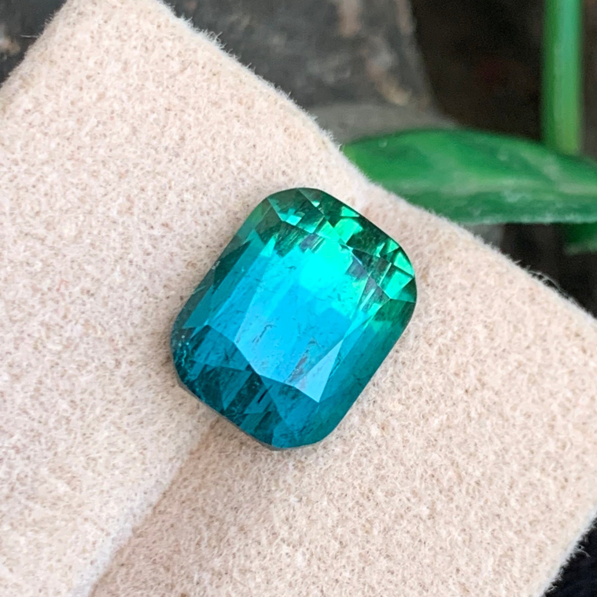 Bicolor Tourmaline Gemstone
Bicolor Tourmaline Jewery