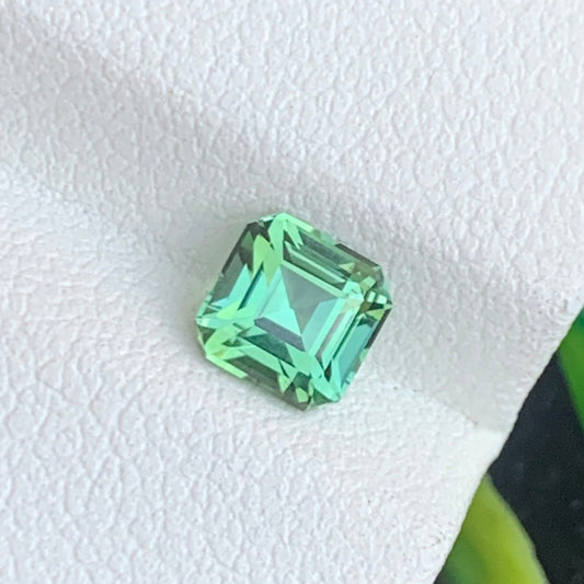 Apple Green Tourmaline Gemstone
Apple Green Tourmaline jewelry