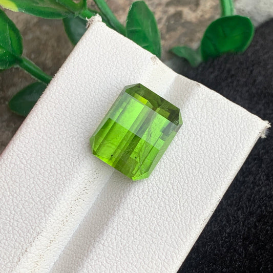Green Peridot gemstone
Green Peridot  jewelry
Green Peridot  gift