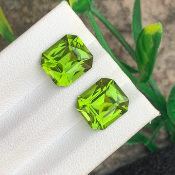  Green Peridot Gemstone
 Green Peridot jewelry